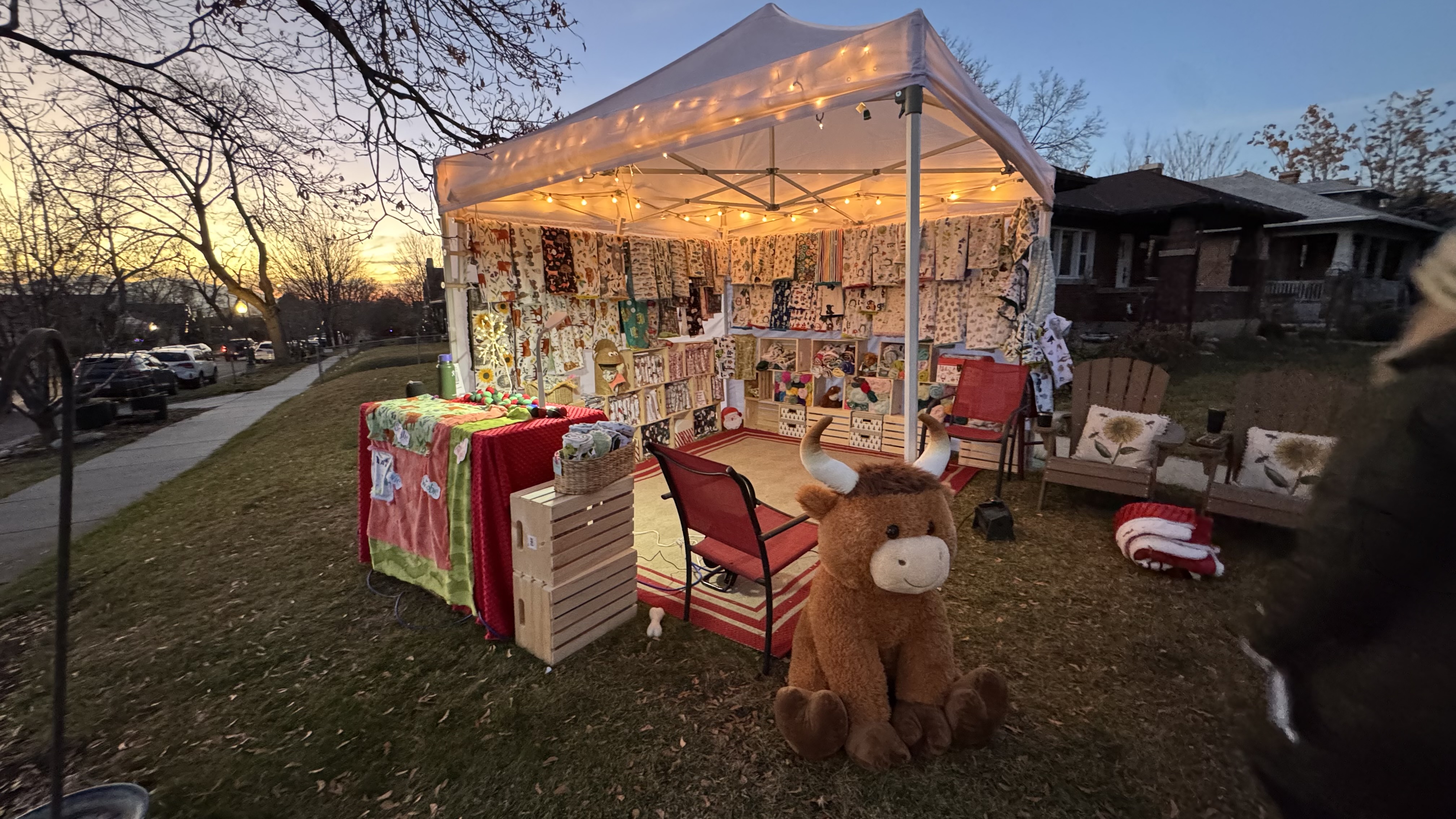 Highland Woobies minky blanket, close-up of pattern.
